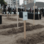 Cemetery of numbers